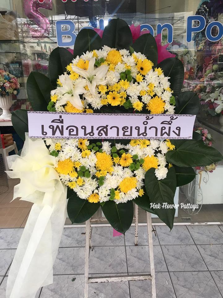 D:29
